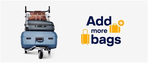 lufthansa additional baggage booking.